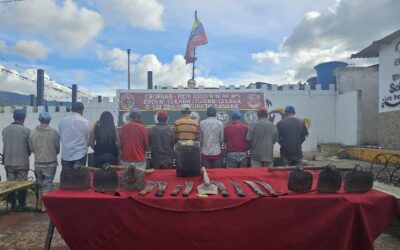 Fanb detiene a 11 personas por talar árboles en zona protegida del estado Lara