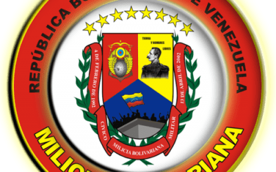 Nueve generales y un almirante, a la orden de la milicia