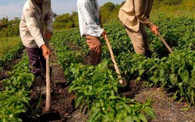 Agricultores denunciaron que la GNB les decomisa el dinero en efectivo