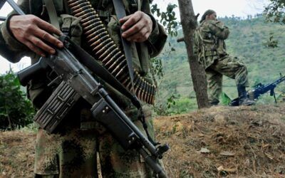 El ELN con 250 hombres entró y salió de una finca en Apure, robó 2.000 cabezas de ganado y la FANB llegó dos días despues.