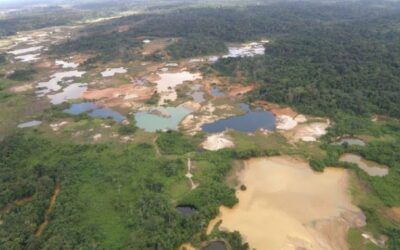 Plataforma Proyecto Educación, Producción y Ambiente (EPA) denuncia que extracción en arco minero es una fachada para delitos