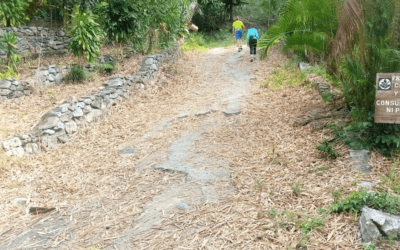Un delincuente muere al ser sorprendido asaltando a deportistas en El Ávila #1Nov