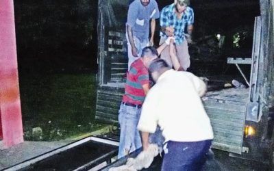 Tiroteo con el Ejército dejó tres abatidos en el municipio Jesús María Semprúm del estado Zulia