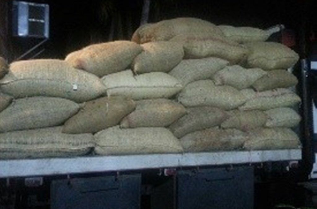 GNB retuvo 15 toneladas de cacao por no cumplir normas alimentarias