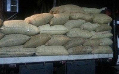 GNB retuvo 15 toneladas de cacao por no cumplir normas alimentarias