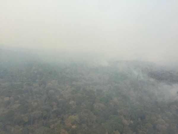 Bolívar: Refuerzan plan contra incendios forestales con participación de la FANB