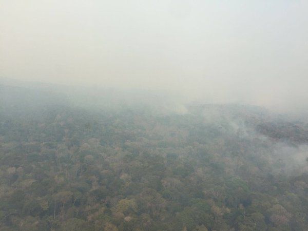 FANB ayudó a controlar incendio en el Parque Nacional Canaima