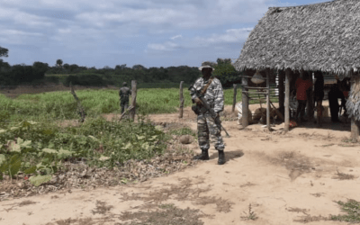 Crisis en Apure: la escalada de la violencia guerrillera en territorio venezolano