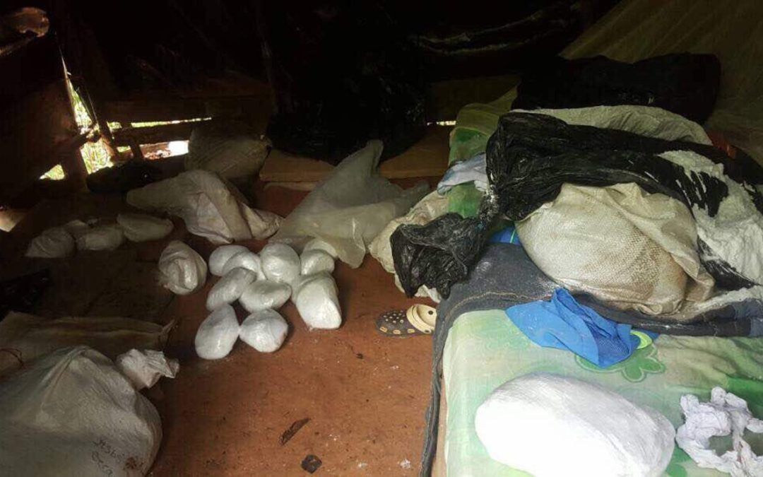 FANB desmanteló campamento destinado a la producción de cocaína en el Zulia