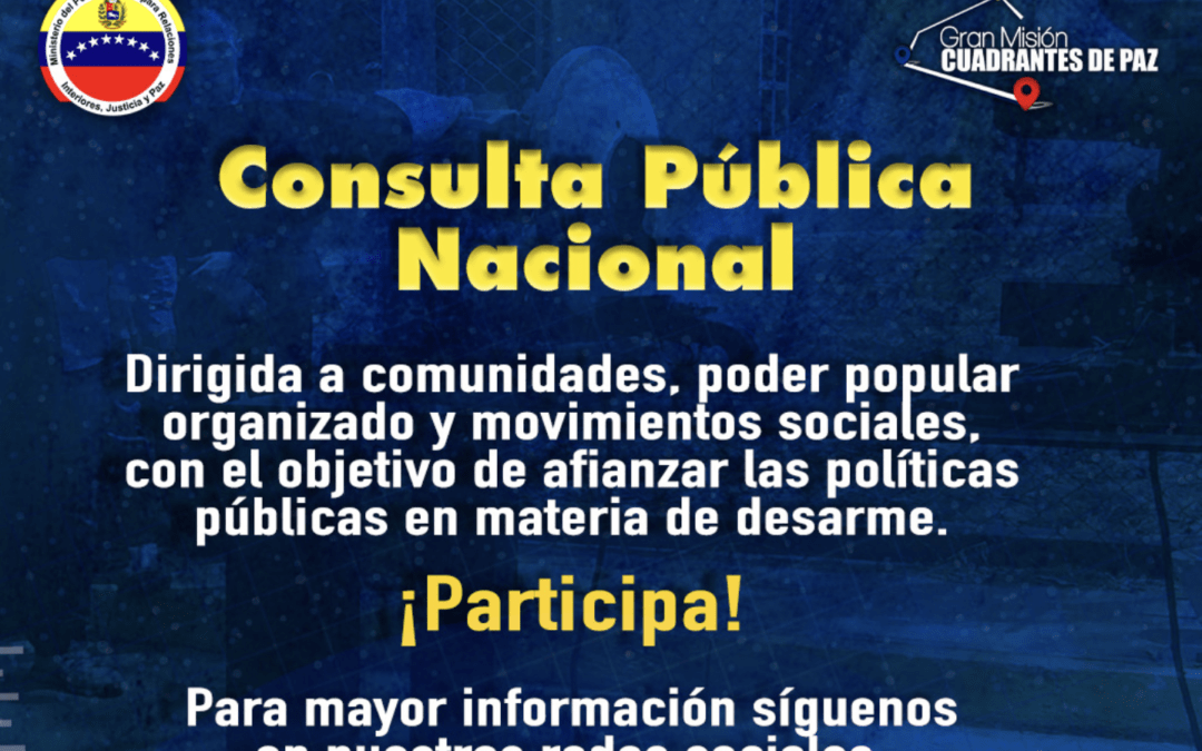 Control Ciudadano: Consulta Pública Nacional de Desarme, Control de Armas y Municiones en Venezuela es sesgada