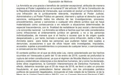 El texto de la Ley de Amnistía y garantías constitucionales para los militares y civiles que colaboren o hayan colaborado con la restitución del orden constitucional