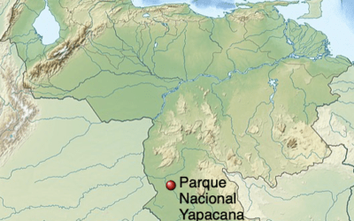 ¿Por qué no se ha emitido ninguna información por parte de la FANB, sobre el hallazgo del cuerpo sin vida de un efectivo militar en el Parque Nacional Yapacana en el Estado Amazonas?