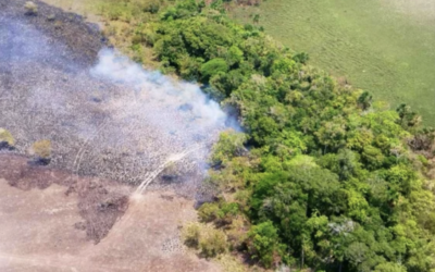 La FANB derriba narcoavioneta en Apure