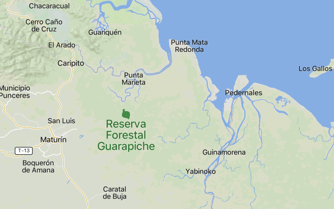 FANB desmanteló centro logístico del narcotráfico en Monagas
