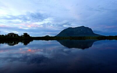 Entre 2021 -2022 se desforestaron en el Parque Nacional Yapacana, en el Estado Amazonas, mas de 750 hectáreas