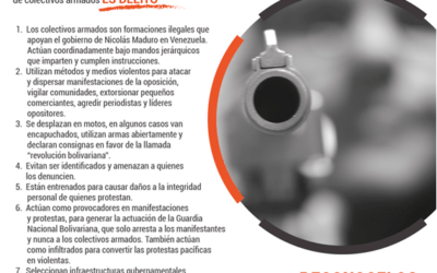 NOTA DE PRENSA  CONTROL CIUDADANO: El Estado está permitiendo la actuación de colectivos armados