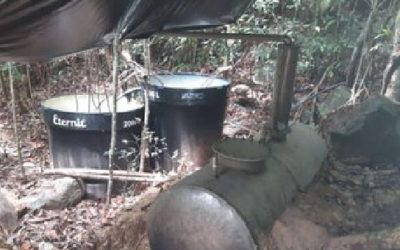 Desmantelan campamento en el Zulia donde procesaban cocaína cerca de Colombia