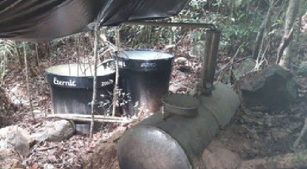 Desmantelan campamento en el Zulia donde procesaban cocaína cerca de Colombia