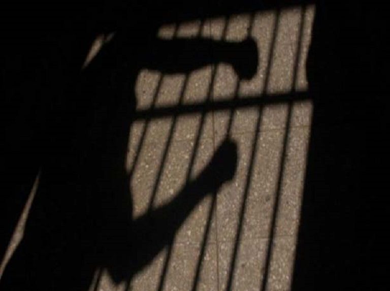 Detuvieron en Guárico a coronel por supuesta conspiración