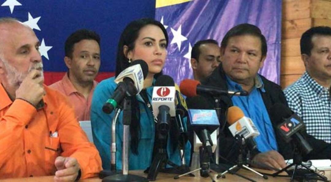 Delsa Solórzano invitó a la FANB a marchar el 23 de enero