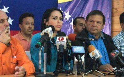 Delsa Solórzano invitó a la FANB a marchar el 23 de enero