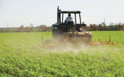 AgroFANB y Agropatria: Gobierno y los militares en control del deprimido campo venezolano