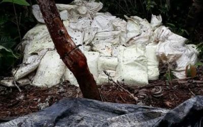 FANB incauta 3,2 toneladas de presunta cocaína en el Zulia