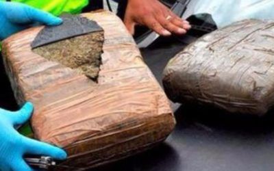 88 panelas de droga incautó la GNB en Táchira