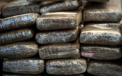 La ONA ha incautado más de 12 toneladas de droga en lo que va de año