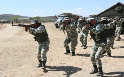 Rocío San Miguel: Ejercicios militares proyectan más debilidades que fortalezas