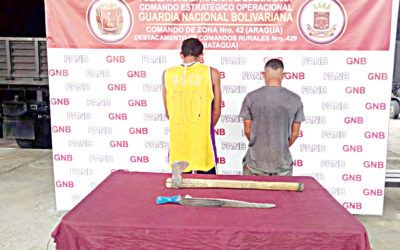 GNB desarticuló organización delictiva vinculada al robo de ganado