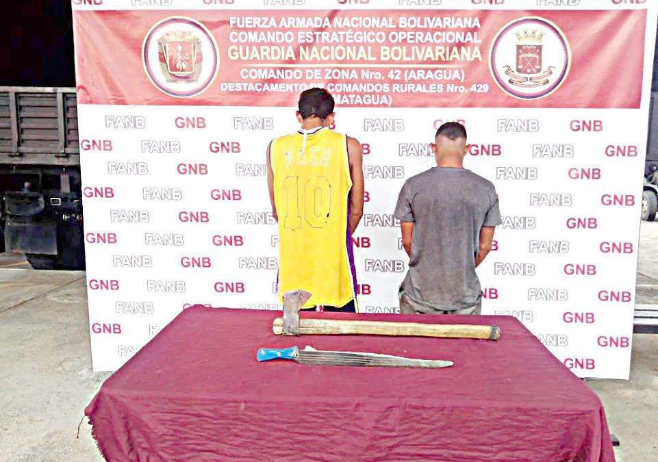 GNB desarticuló organización delictiva vinculada al robo de ganado