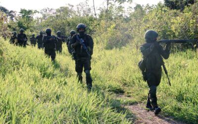 Ceofanb movilizó tres batallones al estado Apure para combatir grupos armados