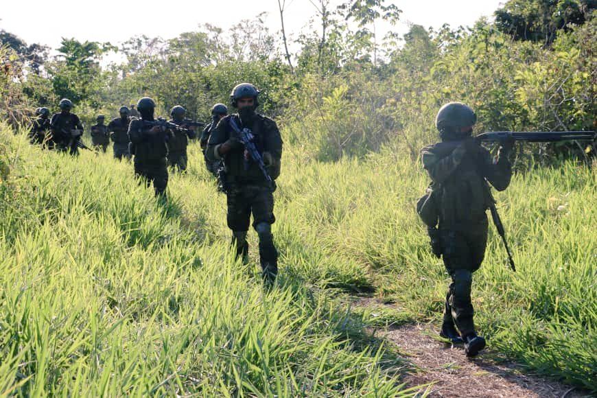 Ceofanb movilizó tres batallones al estado Apure para combatir grupos armados
