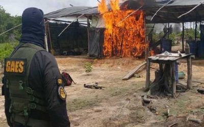 FANB y ONA desmantelaron campamentos de cocaína en Zulia