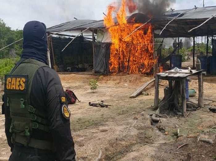 FANB y ONA desmantelaron campamentos de cocaína en Zulia