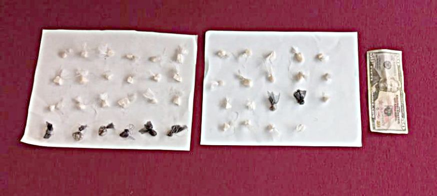 GNB desarticuló banda de distribución de droga