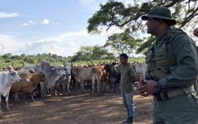 Ejército Bolivariano impulsa producción de alimentos