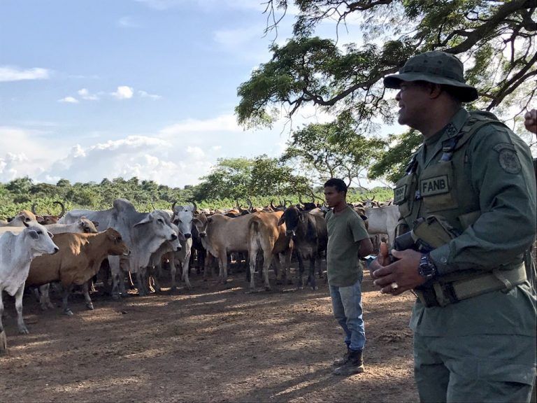 Ejército Bolivariano impulsa producción de alimentos