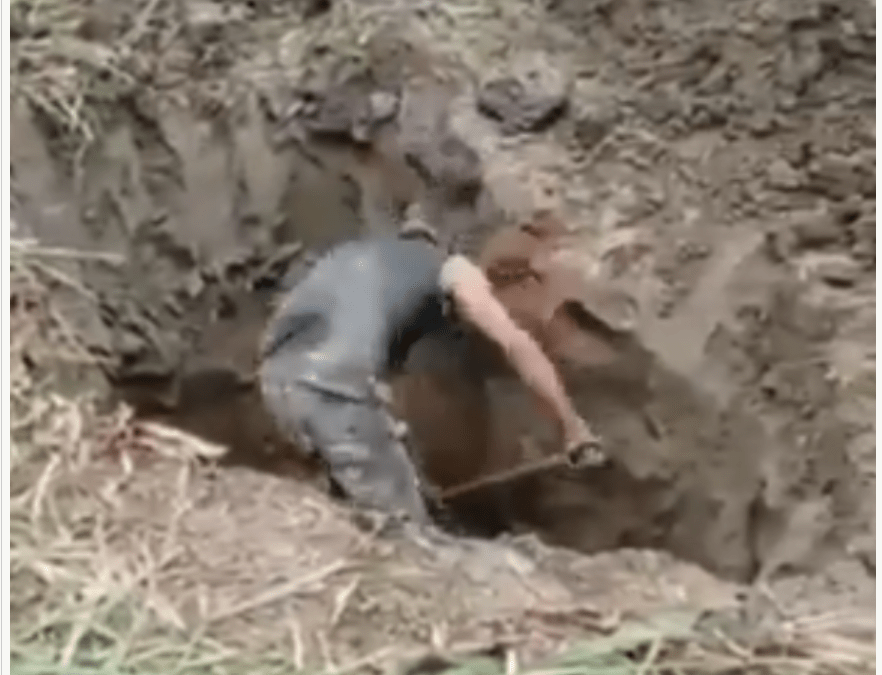 Denuncian a la FAES de ordenar abrir un hueco para presuntamente enterrar a un productor agropecuario en Zulia