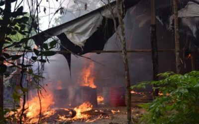 FANB avanza en el despliegue de seguridad para destruir laboratorios de producción de drogas