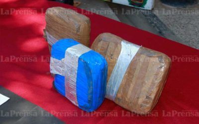 GNB incautó 11 panelas de marihuana en Lara