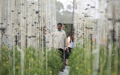 Presidente supervisó núcleo de agricultura urbana de cadetes de Academia Militar de GNB