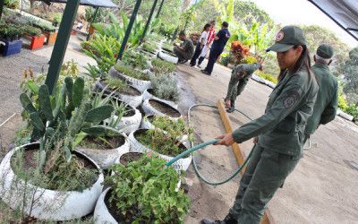 Milicia Nacional Bolivariana inspeccionó cultivos organopónicos en el Parque del Oeste Alí Primera