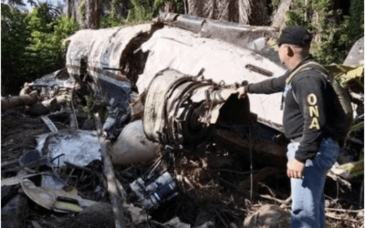 Desmantelan 20 ‘narcolaboratorios’ e inhabilitan 5 pistas ilegales en el Sur del Lago