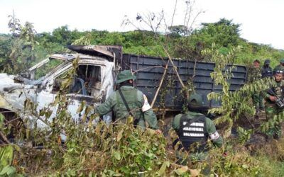 Fuerza Armada se desplega en la frontera para combatir las TANCOL