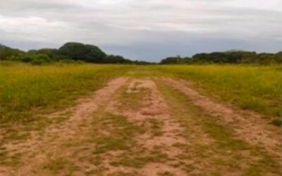 Apure: GNB destruyó pista clandestina en Elorza