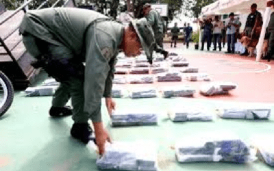 FANB neutralizó pistas clandestinas y destruyó centros de procesamiento de drogas