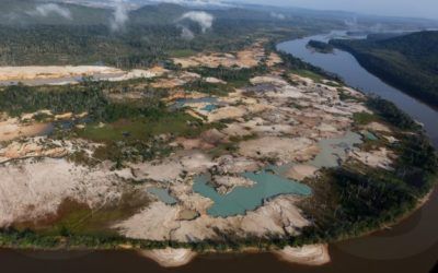 Denuncian que grupos irregulares operan en el Arco Minero bajo protección de la FANB