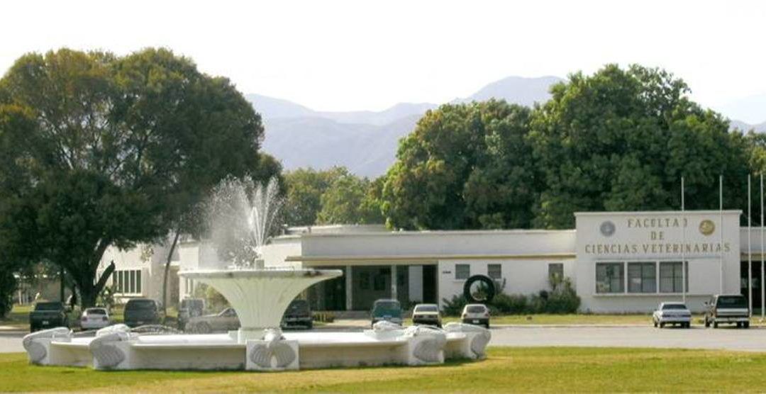 Colectivos armados ingresaron al campus de la UCV Maracay